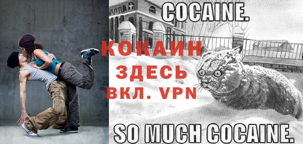 кокс Ладушкин