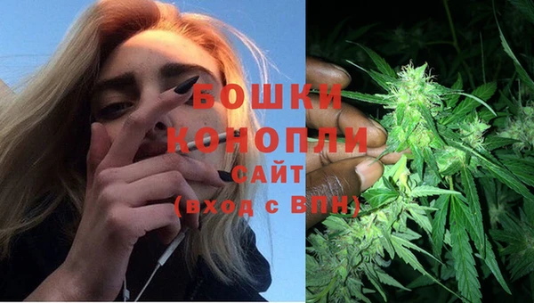 мет Лагань
