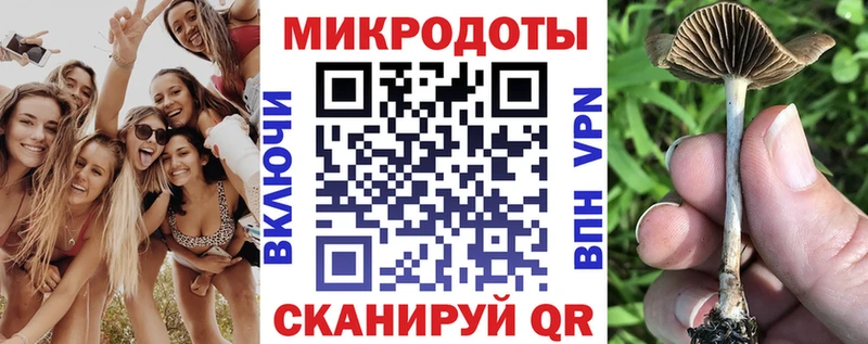Галлюциногенные грибы Psilocybe  Десногорск 