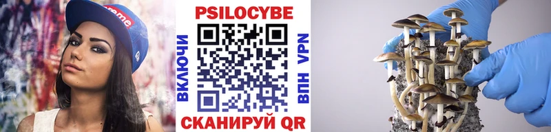 Псилоцибиновые грибы Cubensis Десногорск