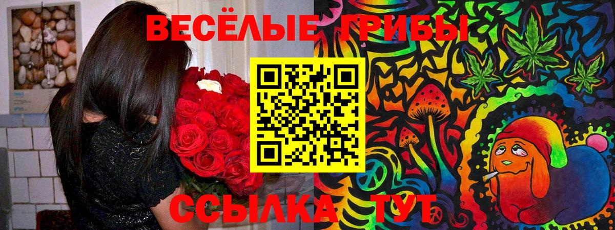 Галлюциногенные грибы мицелий  Вход с VPN  Десногорск 