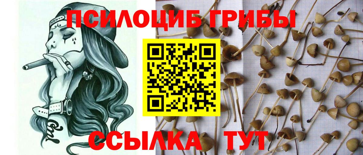 Псилоцибиновые грибы GOLDEN TEACHER  Галлюциногенные грибы ЛСД  Десногорск 