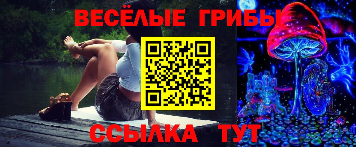 Псилоцибиновые грибы мицелий Десногорск
